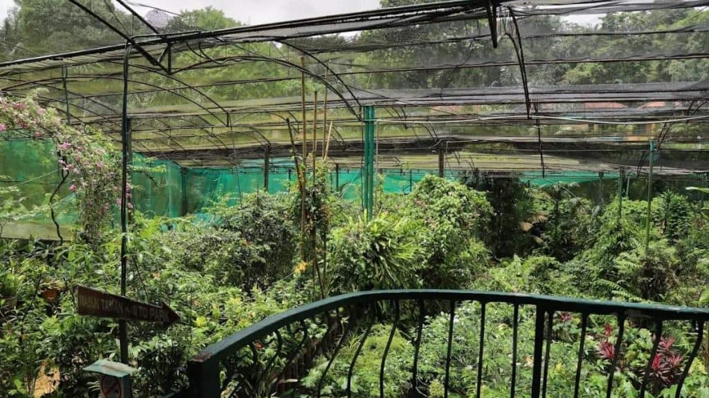 Butterfly Park